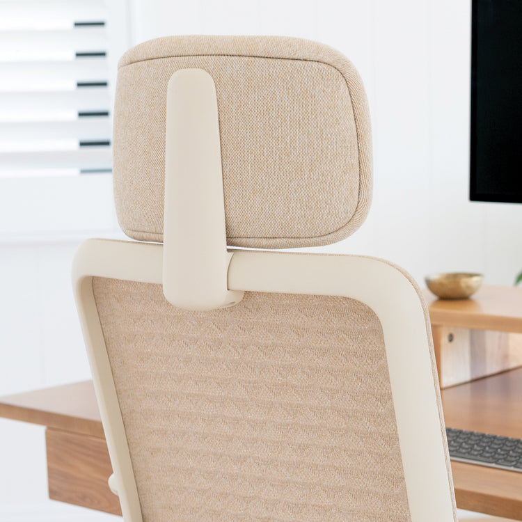 Desky Pro Ergonomic Mesh Chair