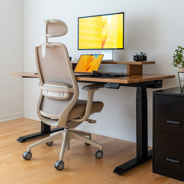 Ergonomischer Bürostuhl Desky Coilflex