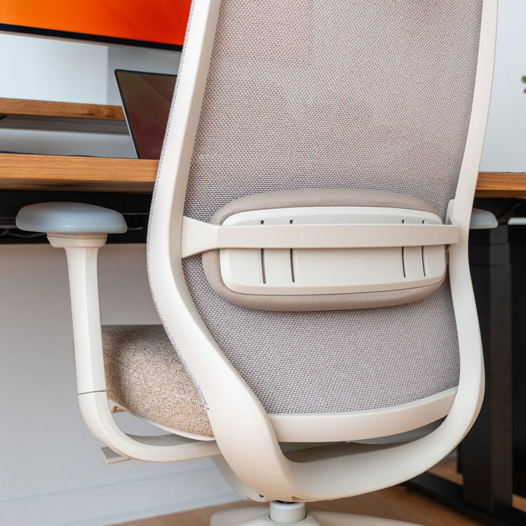 Ergonomischer Bürostuhl Desky Coilflex