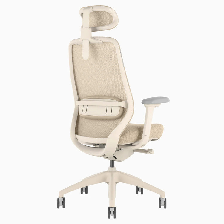 Ergonomischer Bürostuhl Desky Coilflex