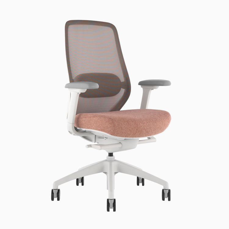 Ergonomischer Bürostuhl Desky Coilflex