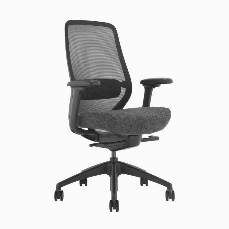 Ergonomischer Bürostuhl Desky Coilflex