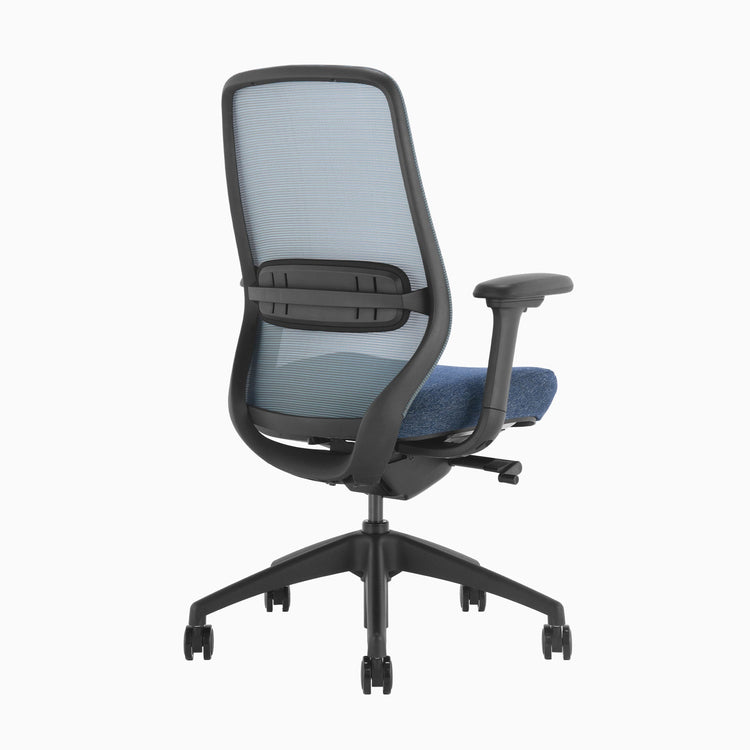 Ergonomischer Bürostuhl Desky Coilflex