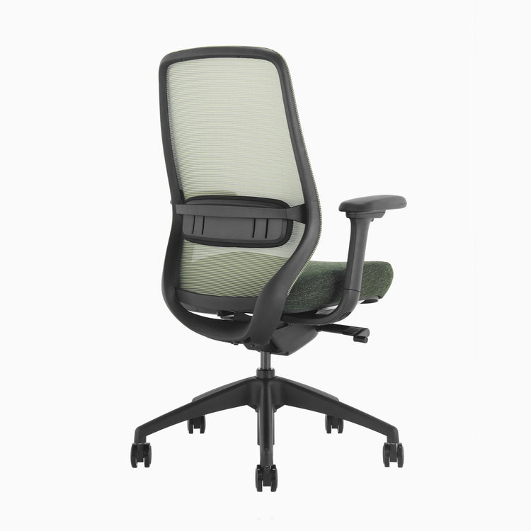 Ergonomischer Bürostuhl Desky Coilflex