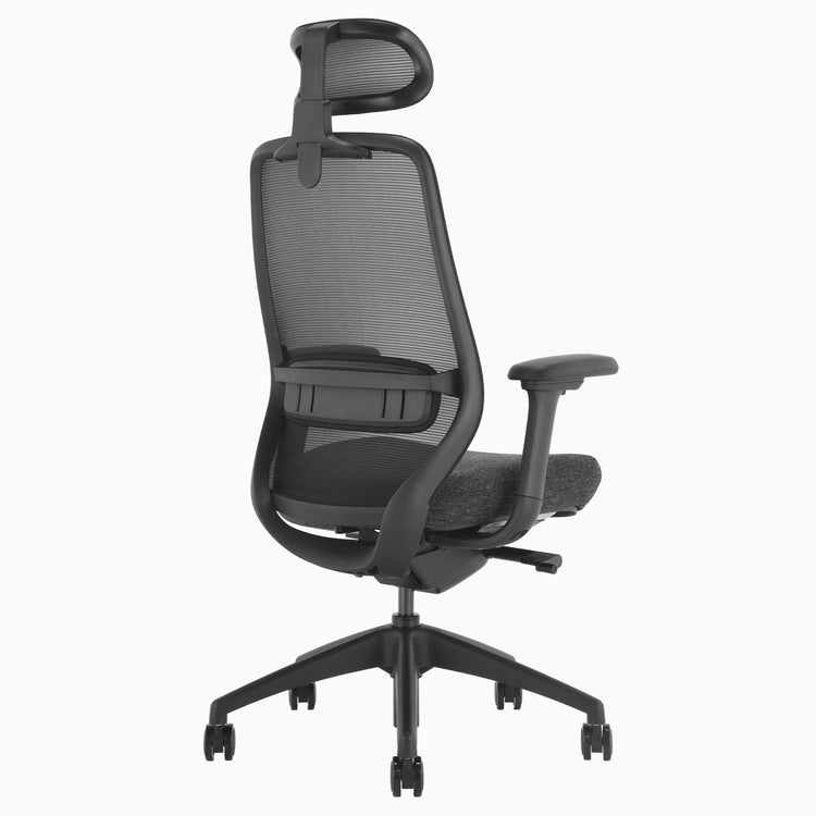Ergonomischer Bürostuhl Desky Coilflex