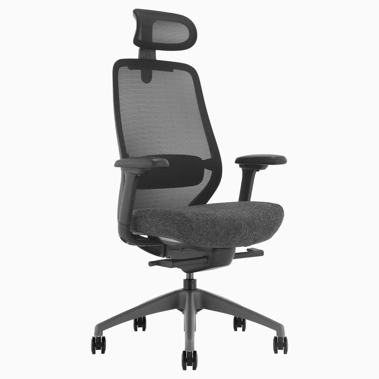 Ergonomischer Bürostuhl Desky Coilflex