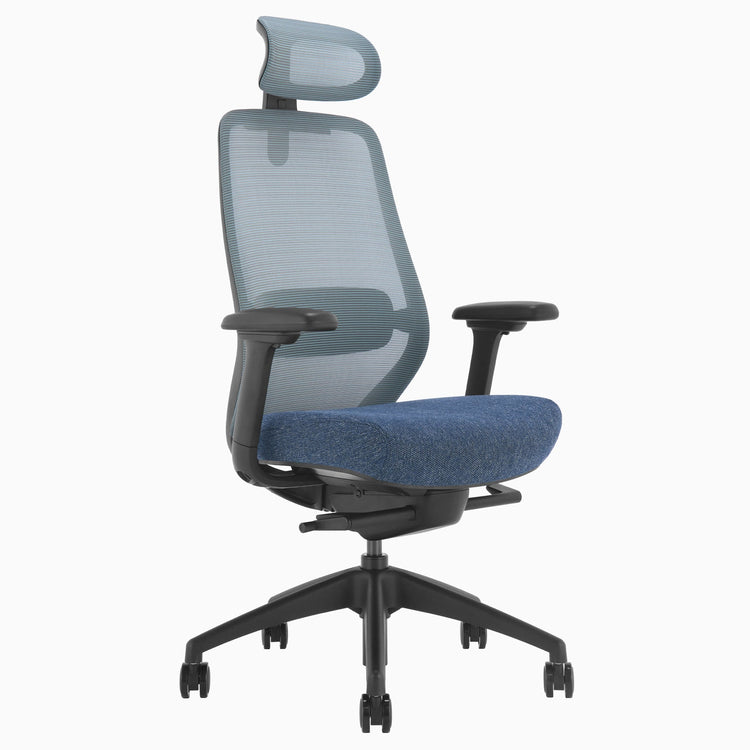 Ergonomischer Bürostuhl Desky Coilflex