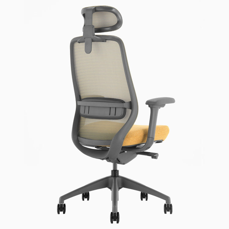 Ergonomischer Bürostuhl Desky Coilflex