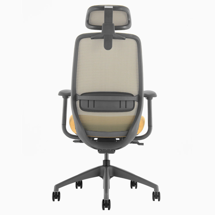 Ergonomischer Bürostuhl Desky Coilflex