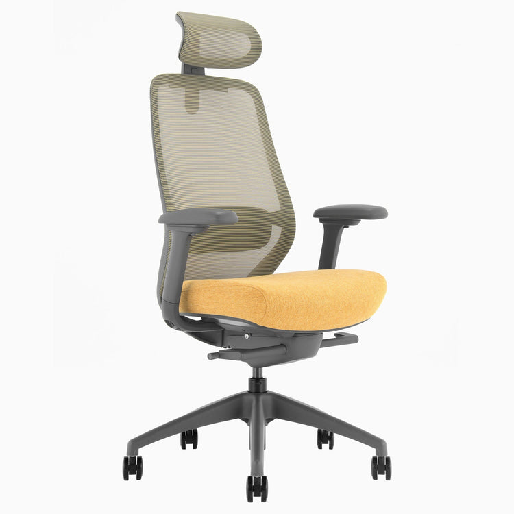 Ergonomischer Bürostuhl Desky Coilflex