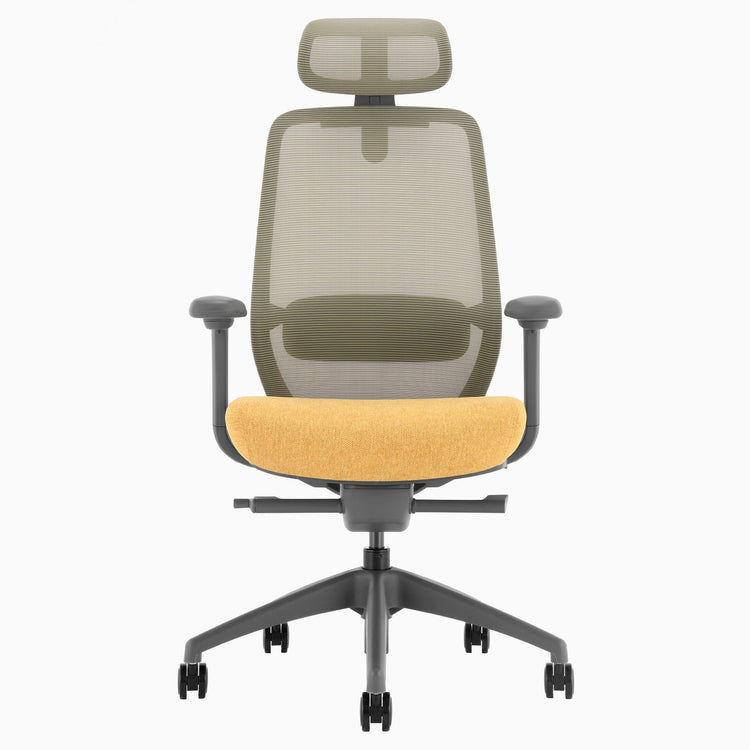 Ergonomischer Bürostuhl Desky Coilflex