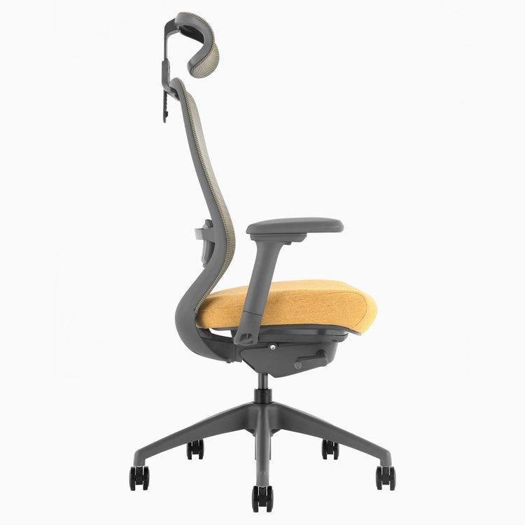 Ergonomischer Bürostuhl Desky Coilflex