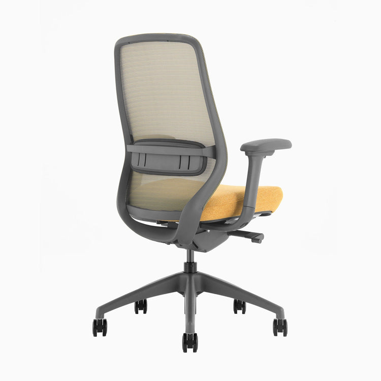 Ergonomischer Bürostuhl Desky Coilflex