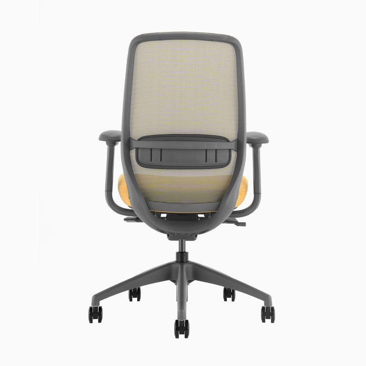 Ergonomischer Bürostuhl Desky Coilflex