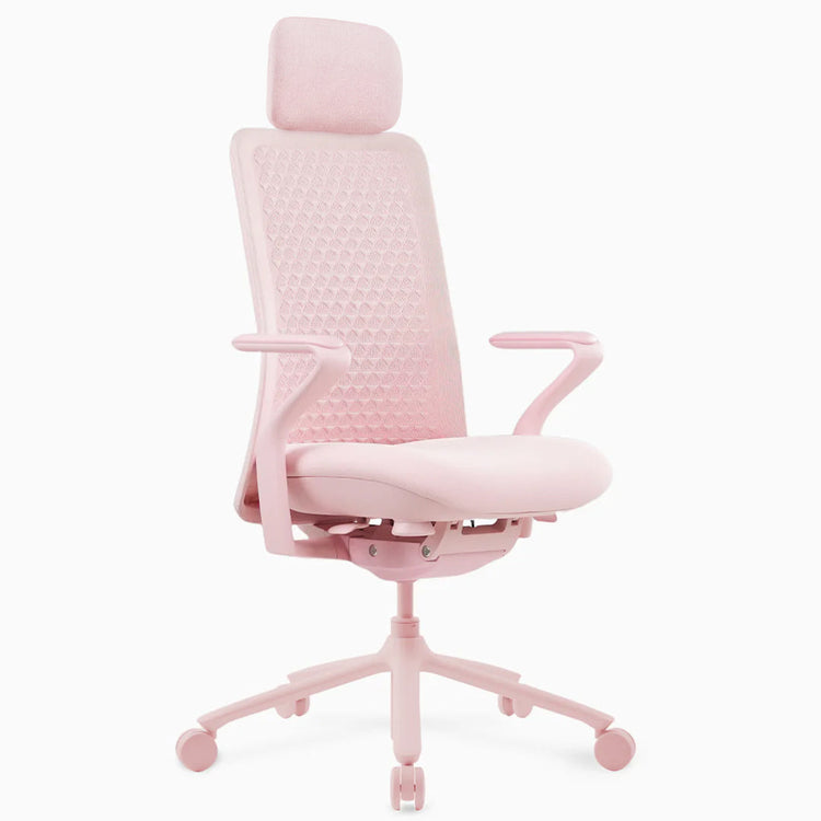 Desky Pro Ergonomic Mesh Chair