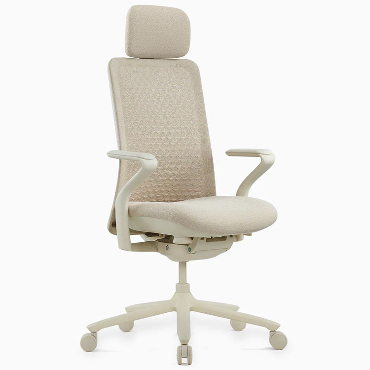 Desky Pro Ergonomic Mesh Chair