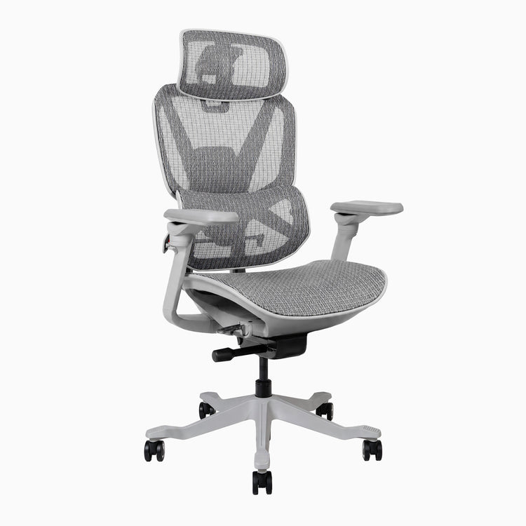Desky Contourra ergonomischer Bürostuhl in Weiß