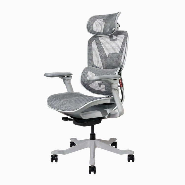 Desky Contourra ergonomischer Bürostuhl, vielseitig verstellbar