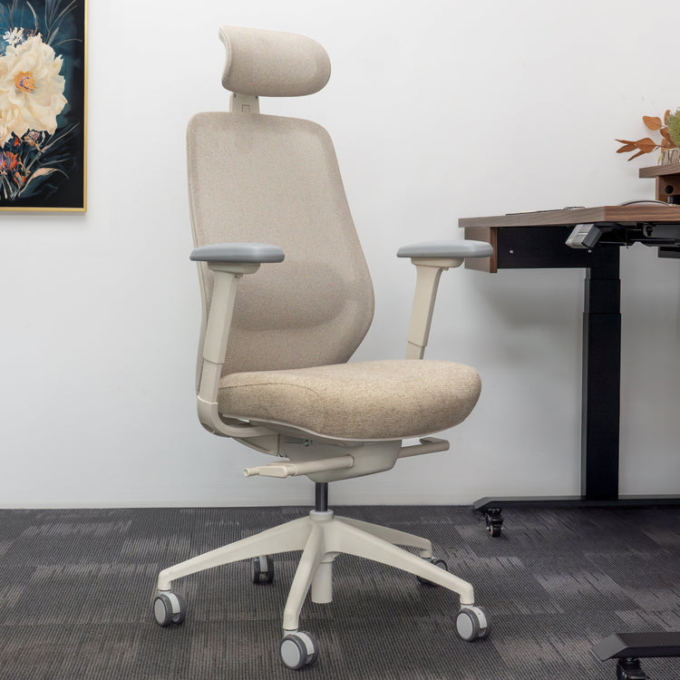 Ergonomischer Bürostuhl Desky Coilflex