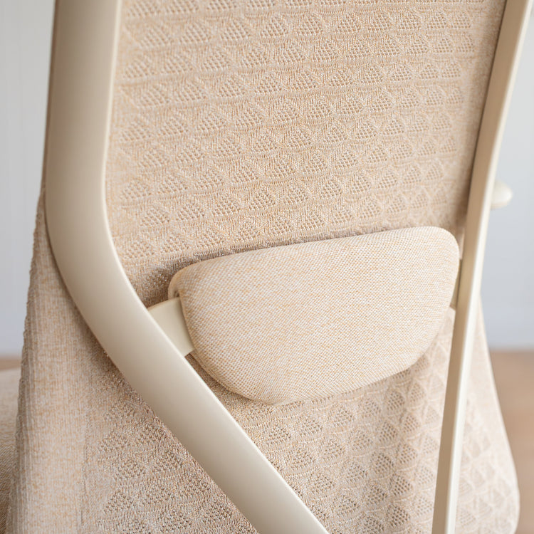 Desky Pro Ergonomic Mesh Chair