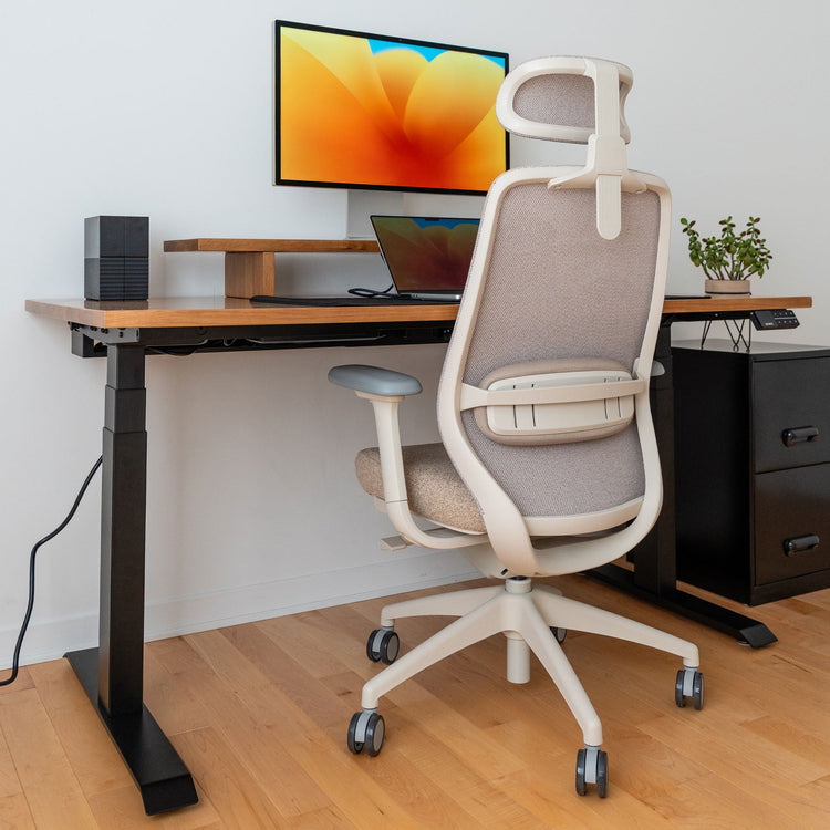 Ergonomischer Bürostuhl Desky Coilflex
