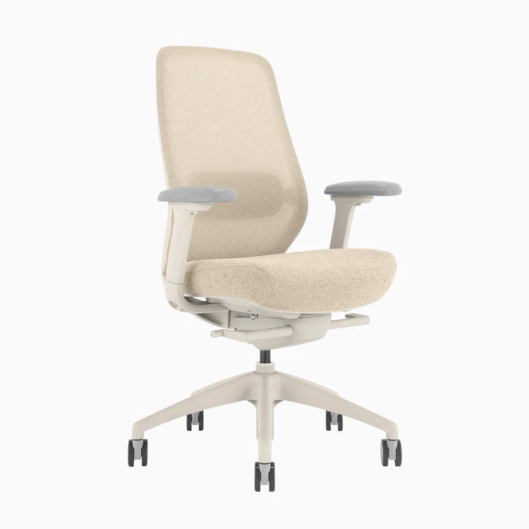 Ergonomischer Bürostuhl Desky Coilflex