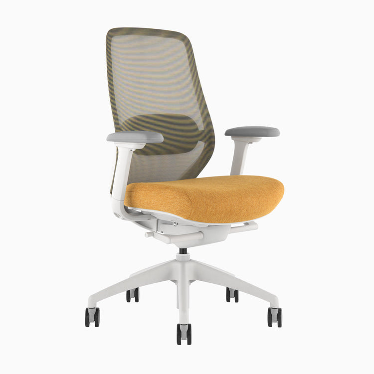Ergonomischer Bürostuhl Desky Coilflex