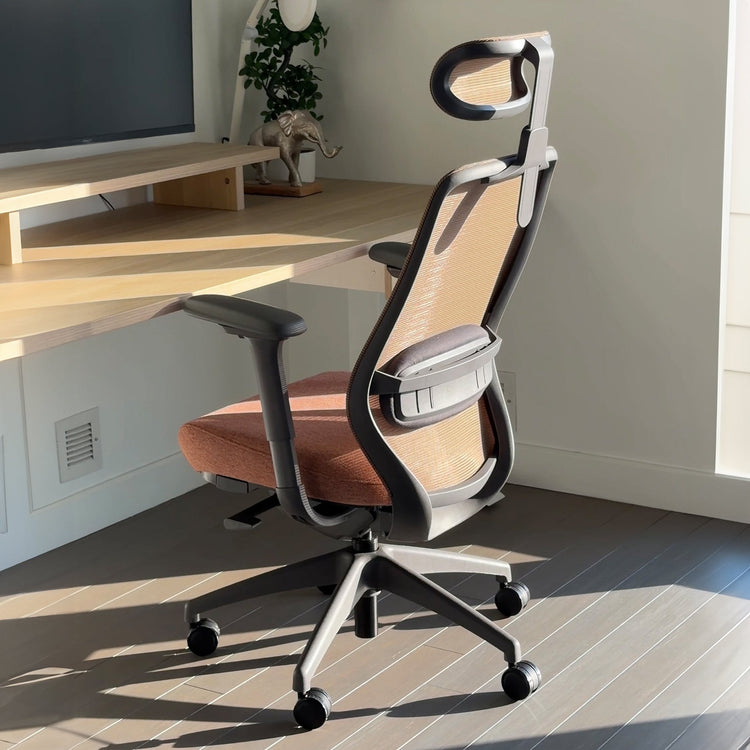Ergonomischer Bürostuhl Desky Coilflex