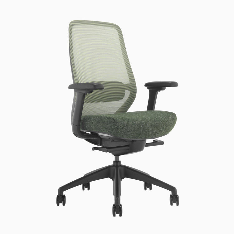 Ergonomischer Bürostuhl Desky Coilflex
