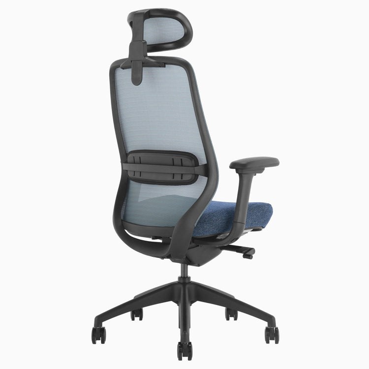 Ergonomischer Bürostuhl Desky Coilflex