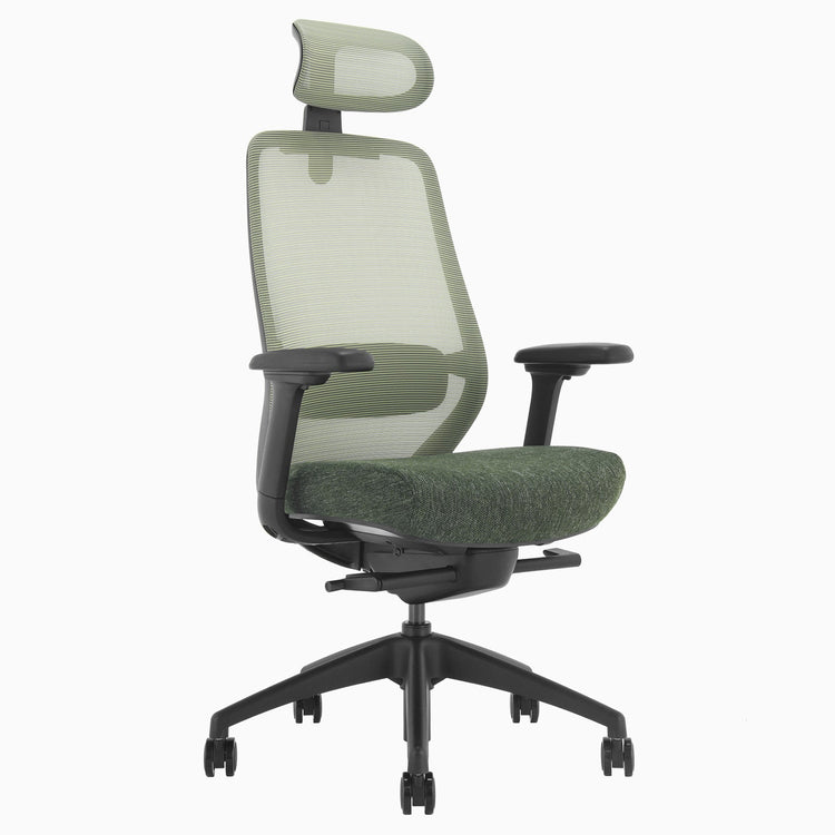 Ergonomischer Bürostuhl Desky Coilflex