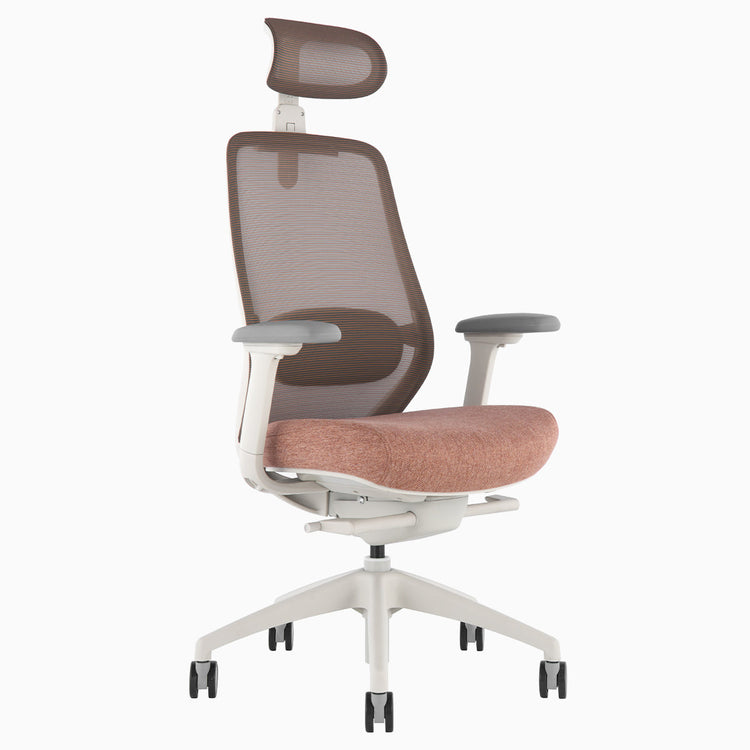 Ergonomischer Bürostuhl Desky Coilflex