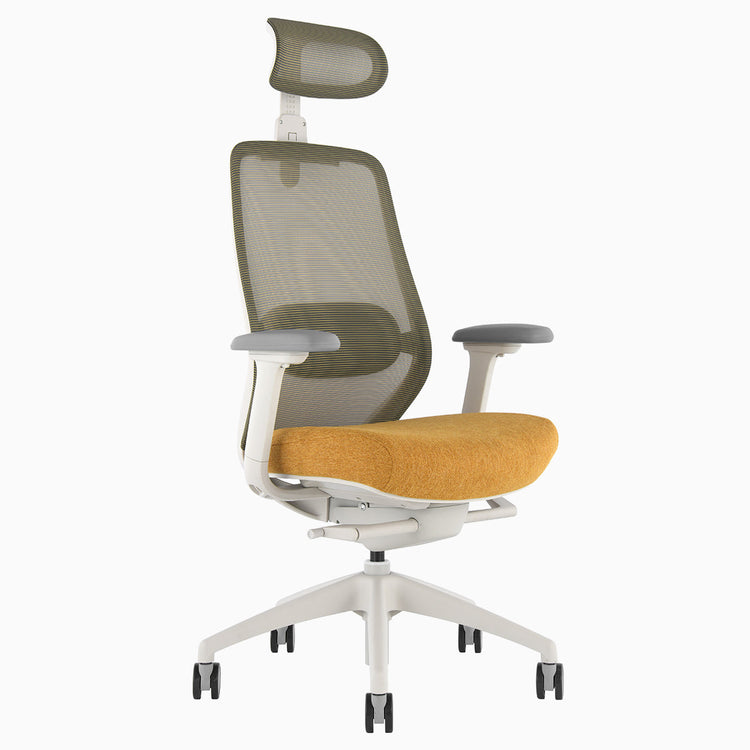 Ergonomischer Bürostuhl Desky Coilflex
