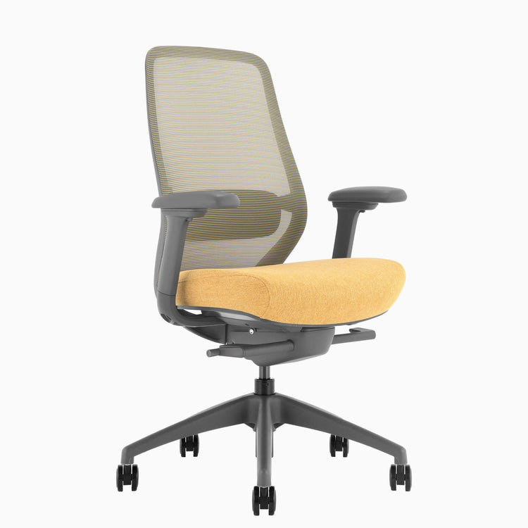 Ergonomischer Bürostuhl Desky Coilflex