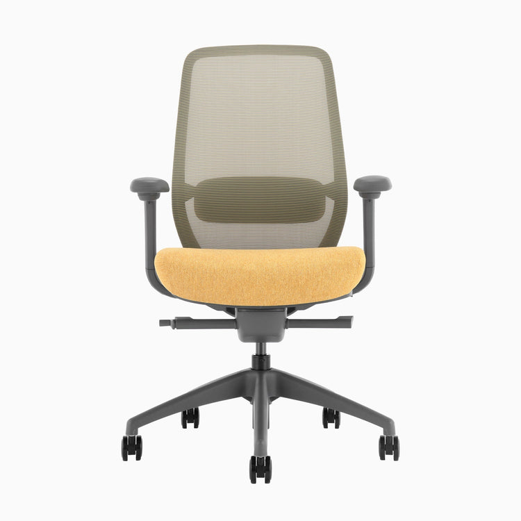 Ergonomischer Bürostuhl Desky Coilflex