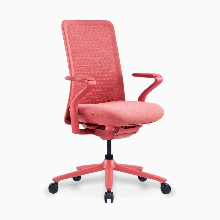 Desky Pro Ergonomic Mesh Chair