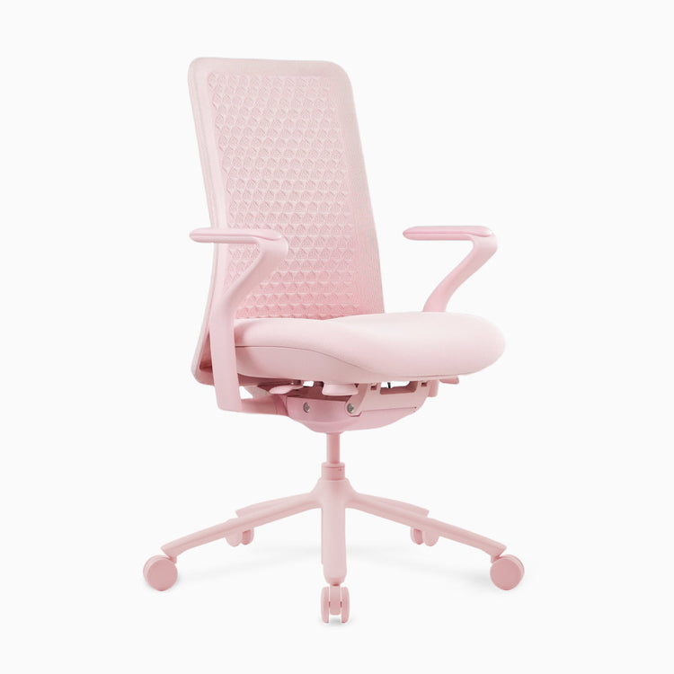 Desky Pro Ergonomic Mesh Chair