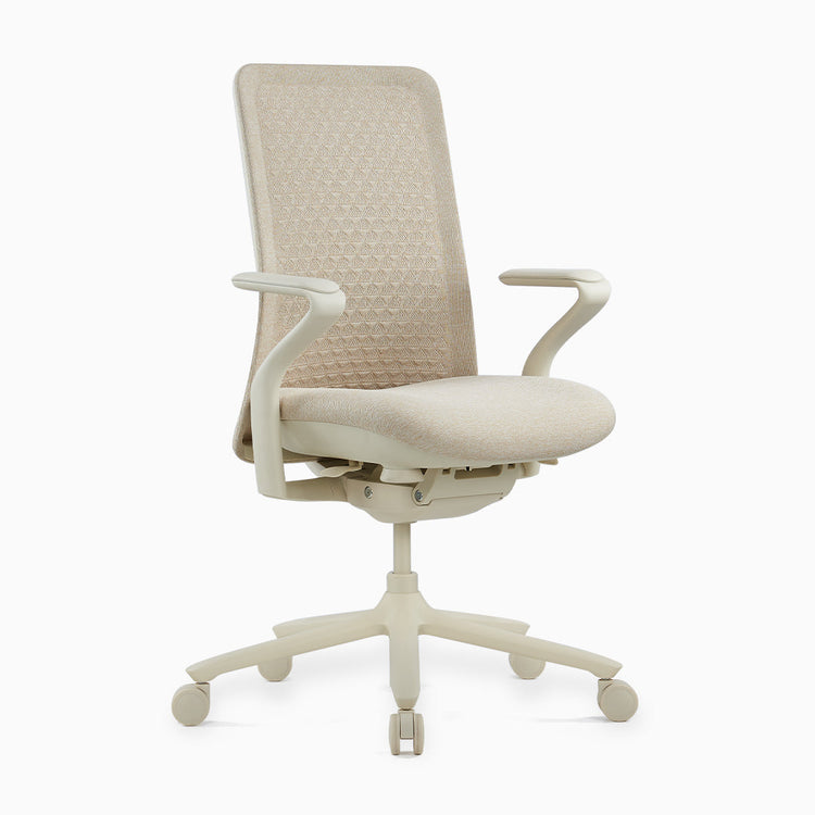 Desky Pro Ergonomic Mesh Chair