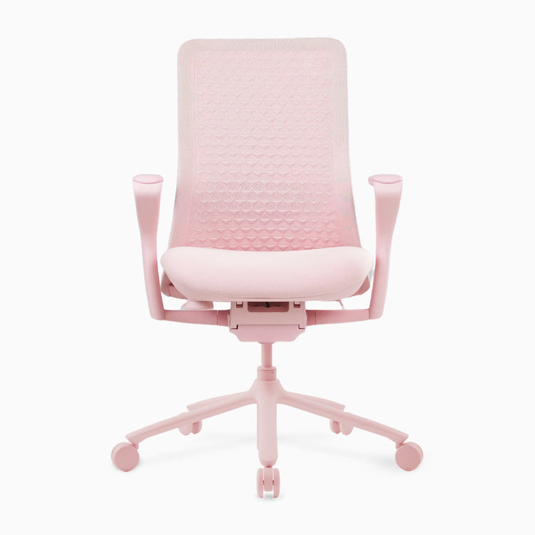 Desky Pro Ergonomic Mesh Chair