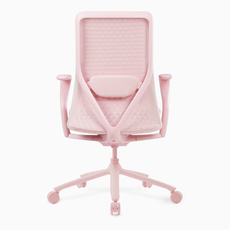 Desky Pro Ergonomic Mesh Chair