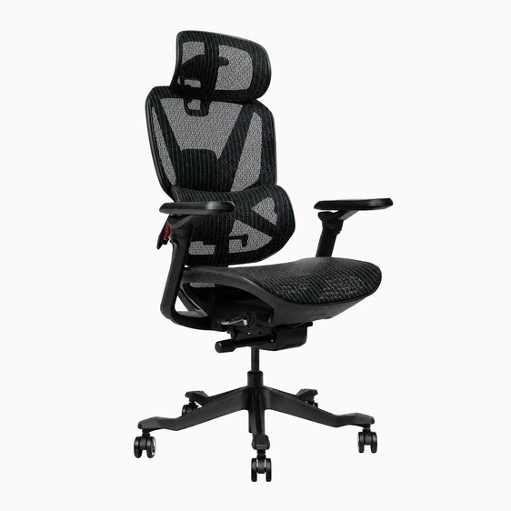 Contourra Ergonomic Mesh office chair in black