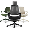 Ergonomic Chairs