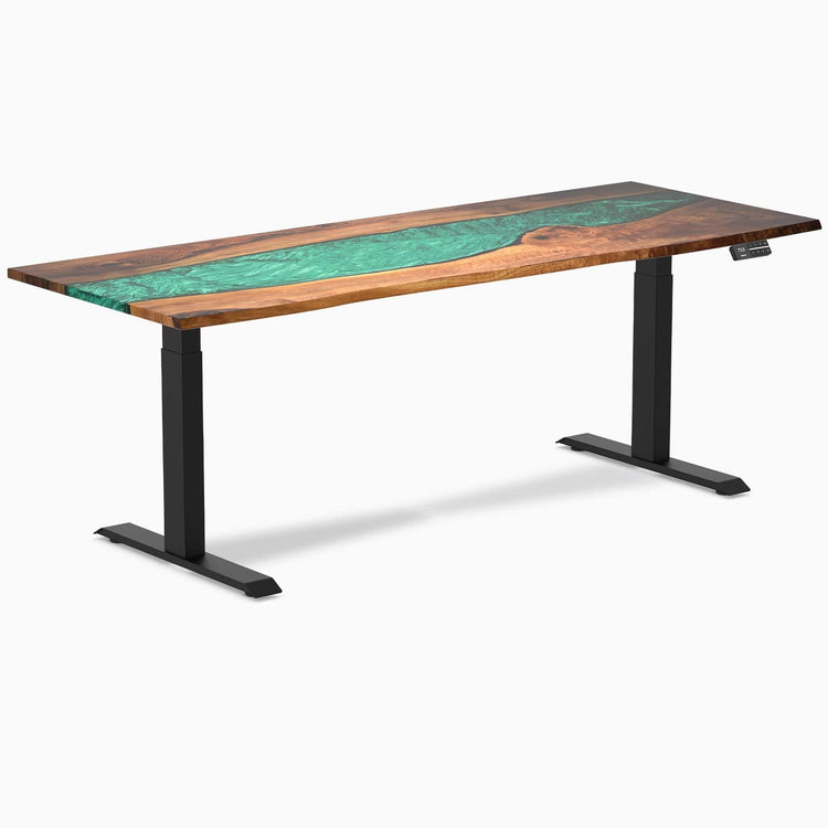 Desky Dual Resin Hardwood Sit Stand Desk